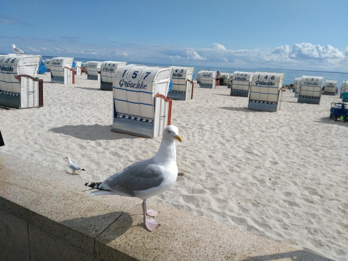 Ostsee Fewo By Wolf Grömitz Buitenkant foto